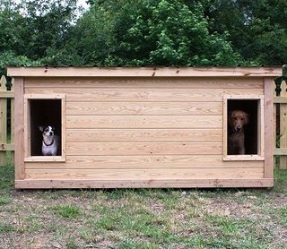 Jackson and Buster - Louisiana